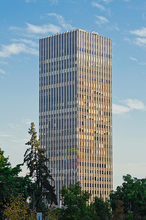 _0063373
