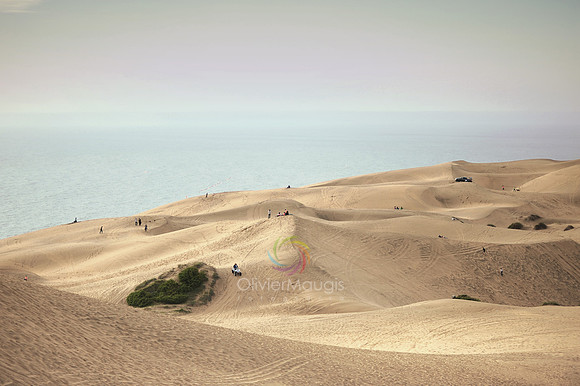 Dunas