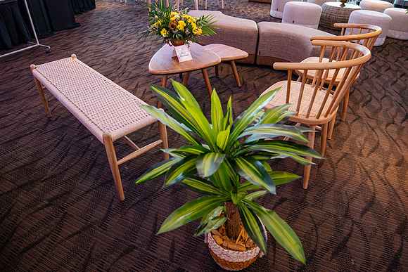 20231026_MerakiDecoRental_0006